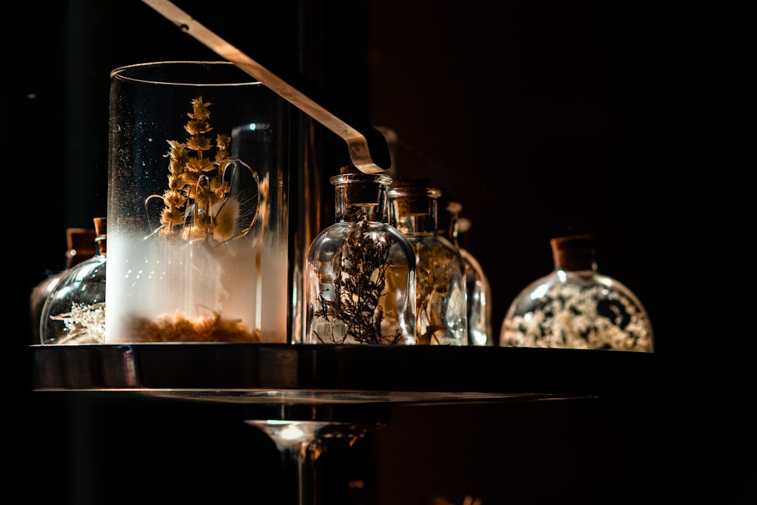 The Art of Decorating: Budget-Friendly Home Decor Products to Transform Your Space